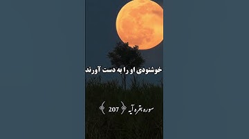 سوره بقره آیه (207)🕋🕌❤🌹با قرآن زندگی کن #قرآن #قران_كريم #قرآن_برای_همه #قرآن فارسی #قرآن