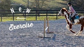 Barn Vlog + Voice Over Riding Raws!