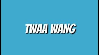 sound TWAA WANG