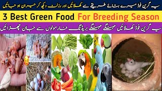 😱Java Sparrow Breeding Formula | Birds Green Food Breeding Formula | 3 Best Green Food For Birds