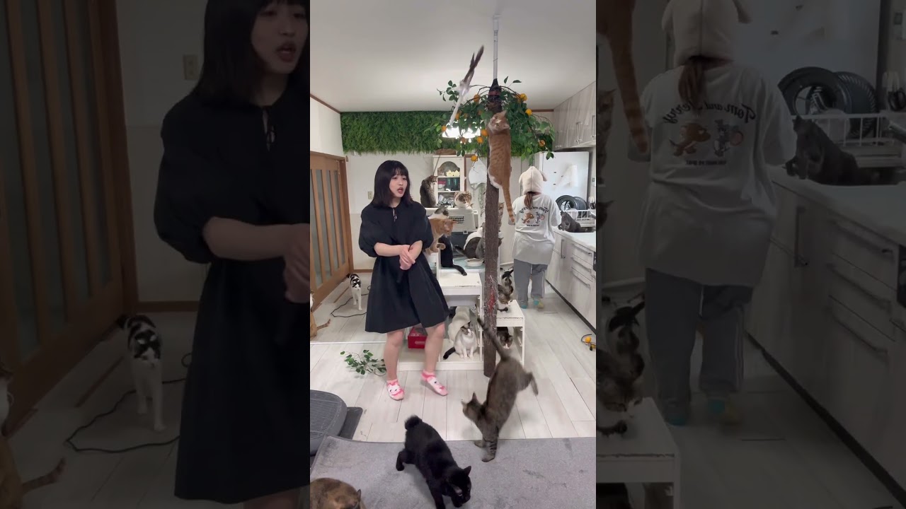もふもふの館が５月にオープン！！