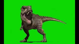Standing angry Tyrannosaurus Dinosaur Green Screen VFX & CGI effetcts