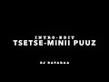 Tsetse Minii Puuz Intro Edit DJ Bayaraa