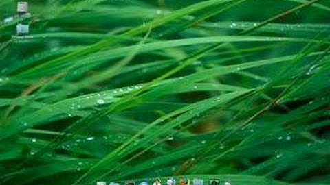 Gusty Gibbon + Dock(AWN) + Compiz Fusion - Mac OS X Style