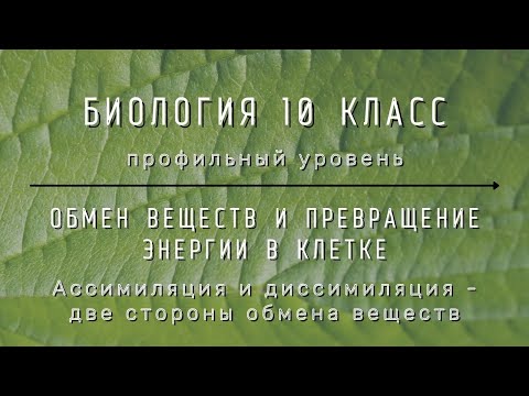 Биология 10 кл Проф уровень §17 Ассимиляция и диссимиляция -две стороны обмена веществ