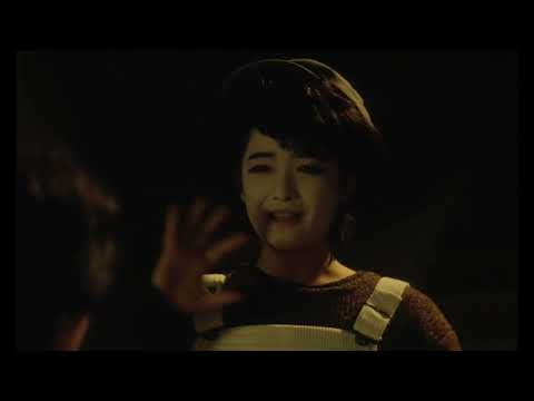 富田靖子 - さびしんぼう(FAN MV)