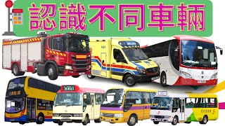 🚨認識不同車輛🚚|巴士🚌|消防車|🏍️香港公共交通工具🚗| The wheels on the bus🌈|救護車💖|的士|🙋幼稚園必學 |中文認字🌻|廣東話、粵語|交通工具|香港交通工具|汽車