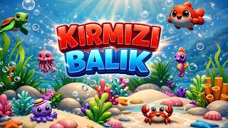 Kirmizi Balik Şarkisi 🐟 Eğitici Çocuk Şarkıları Okul Öncesi Bebek Ve Çocuk Şarkıları