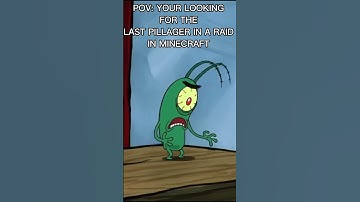 POV: YOUR LOOKING FOR THE LAST PILLAGER IN A RAID IN MINECRAFT