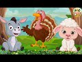Cute Little Farm Animal Sounds: Goat, Turkey Bird, Donkey, Gecko - Baby Animal Moments