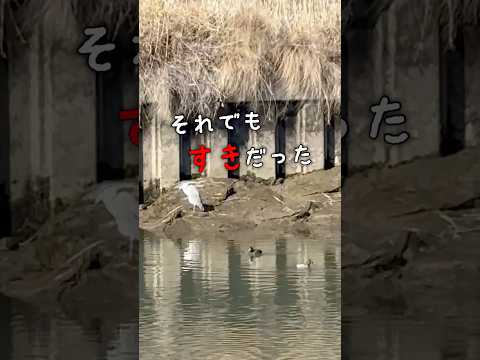 「俺たちの旅」小学一年生の恋心