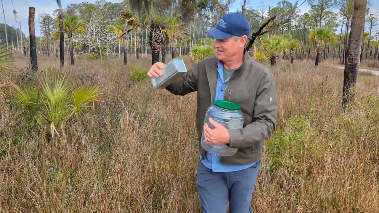 Catching Small Mammals