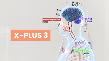 X Plus 3 | PBM Visualization