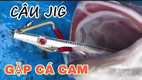 Câu Cá Bằng Mồi Jig Nước Sâu - Gặp Cá Cam | Hung Truong JP |