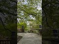 Haven 8K