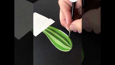 Vẽ trậu cây xương rồng