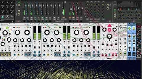 VCV RACK / Random Sampler + Resonator + Ping Pong Delay + Reverb.