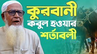 কুরবানী কবুলের গুরুত্বপূর্ণ শর্তাবলী আল্লামা লুৎফর রহমান Qurbani Bangla Waz Lutfur Rahman