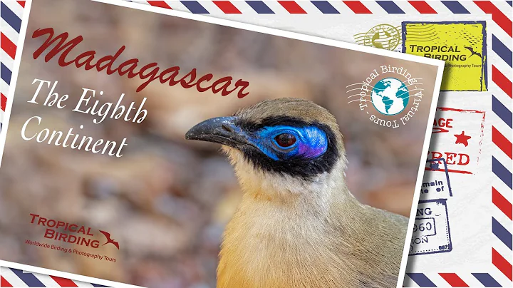 Tropical Birding Madagascar Virtual Tour by Ken Be...