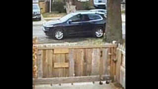 NEIGHBORS GARBAGE GETS US A VIOLATION FROM CODE ENFORCEMENT