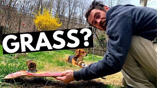 How to Kickflip for Beginners in Your Backyard | Step By Step