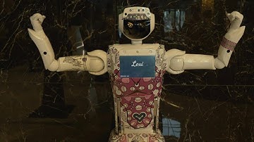 Robotic welcome: meet South Africa