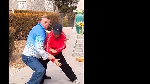 Yang Family Tai Chi * Da Lu * James Fu Qing Quan and Damon Bramich