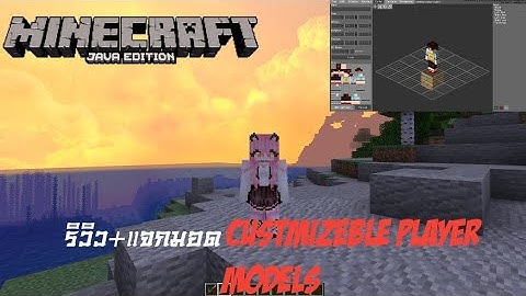 รีวิว+แจกม็อดCustomizable Player Models