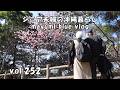 【沖縄暮らしvlog】八重岳桜まつりに行って来ました/ＥＴＣホットサンドの朝食/娘夫婦のお土産でおやつタイム/美容室でカットして来た(笑)/寒緋桜並木をドライブ