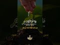 بسم الله الرحمن الرحیم خدایا شکرت
