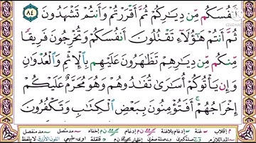 #سورة البقرة#الصفحة 13 مكررة#للحفظ #أيمن السويد #aymen Swed