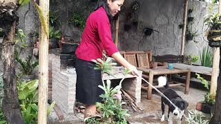 ​🍃 Melambat Sejenak Untuk Kembali Melesat Menikmati Proses & Rutinitas Di Desa