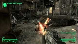 Fallout3 Fro's C.A.L. Fallout3 Fro's C.A.L.
