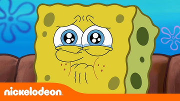 Bob Esponja | Bob, una esponja sensible | Nickelodeon en Español