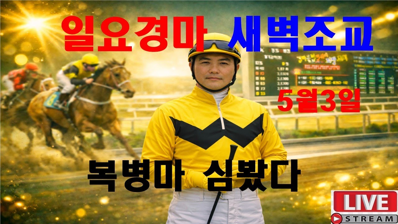 5월3일 일요경마  새벽조교 분석방송 경마예상 추천마번 복병마  라이브 방송 경마장 심마니 박달재 서울경마 부경경마 제주경마 경주분석 추천마번 예상방송 박달재