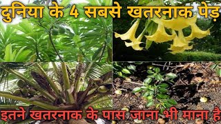 4 most dengerous trees in the world || duniya ke 4 sabse khatarnak ped