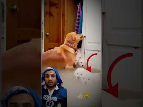 عندما تعمل الخير معا احد ينجيك الله ومن معك       