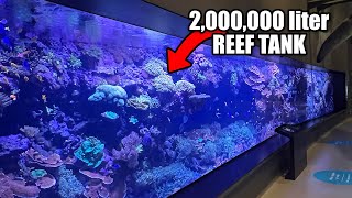 Blue Planet AQUARIUM - Reef Relax 4K by Reef Relax 633 views 1 month ago 10 minutes, 1 second