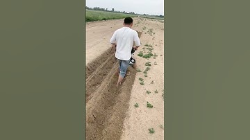 One machine for multiple uses saves time, effort and manpower Orchard greenhouse management#shorts