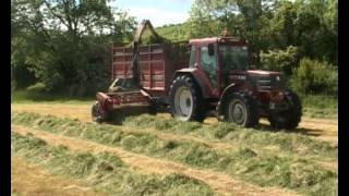 Fiat F140 with Mengele harvester