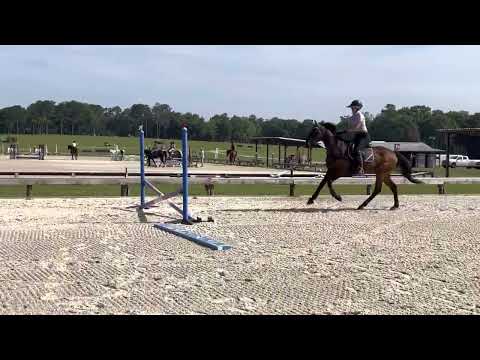 War Feather jump school at Majestic Oaks