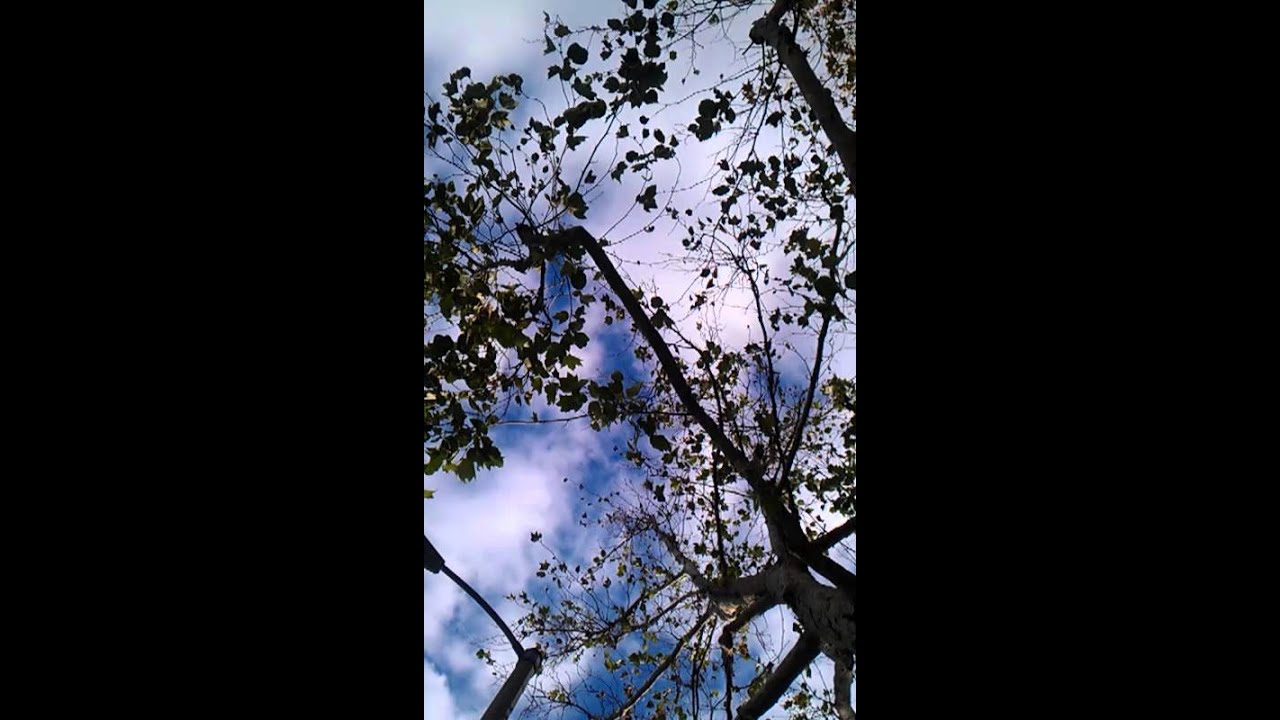 #2 Rancho police on a power struggle