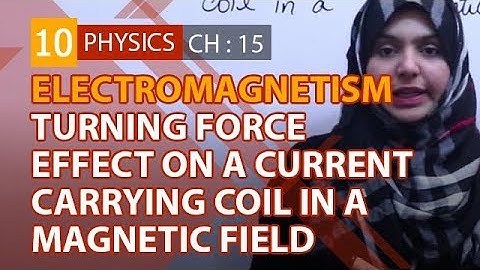 10th Class Physics Chapter 6 - Turning Force Effect Current Carrying - Class 10 Physics Chapter 15
