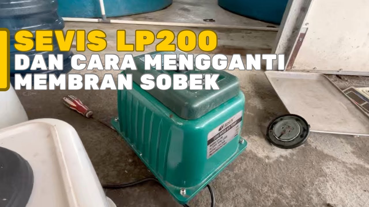 Servis lp200 dan pergantian membran sobek