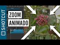 Como fazer ZOOM em vídeo (efeito ampliar, shotcut)