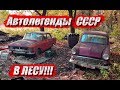 Автолегенды СССР | Старые авто в лесу!