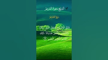 الشيخ سعود الشريم      سورة الأنعام           #القرآن_الكريم #المصحف #تلاوة_خاشعة