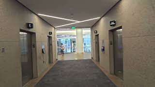 Kone Polaris Destination Dispatch Elevators (9-17) - One Tampa City Center - Tampa, FL