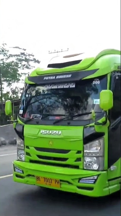 elf mania Community Indonesia #elfmaniacommunityindonesia #elfmania #shortvideo #shorts