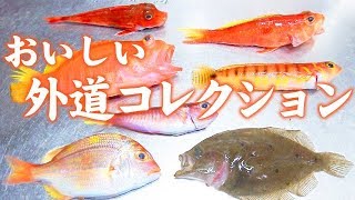 釣れた外道を食ってみよう 船釣り編 アカイオトト大集合 Youtube